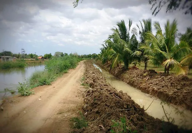 PUDUKKOTTAI  After 25 years, youth Irrigation Request to resume work immediately with funds allocated
